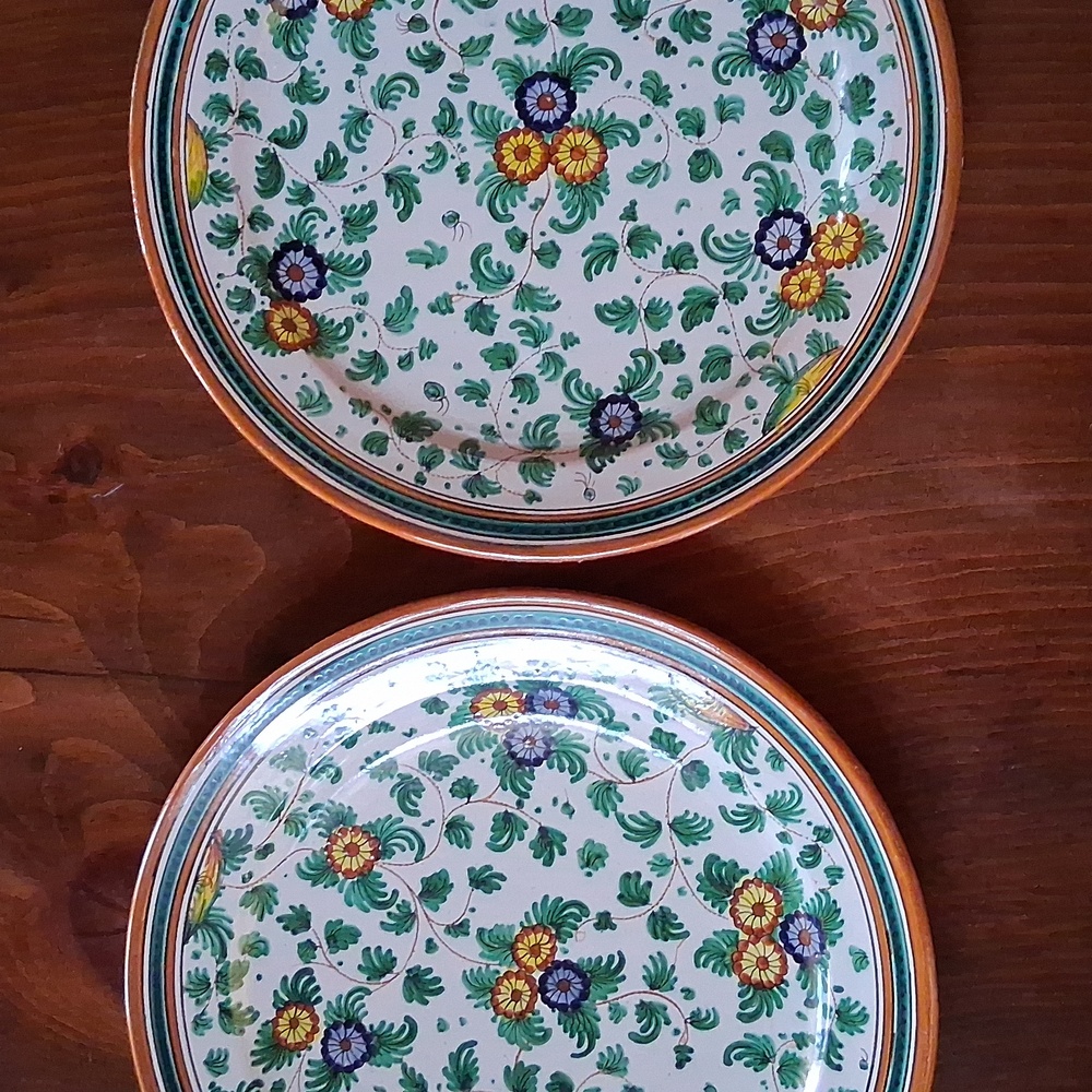 Deruta Italian Hand Painted Floral Ceramic Dinner Plates Set Of 2